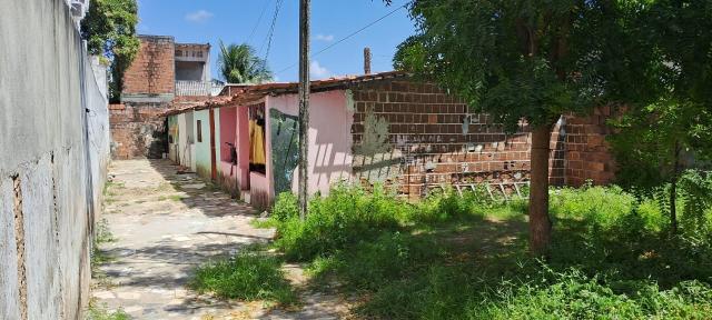 Terreno/Loteamento - Padrão - Venda