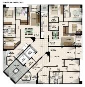 planta