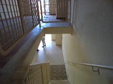 hall socia