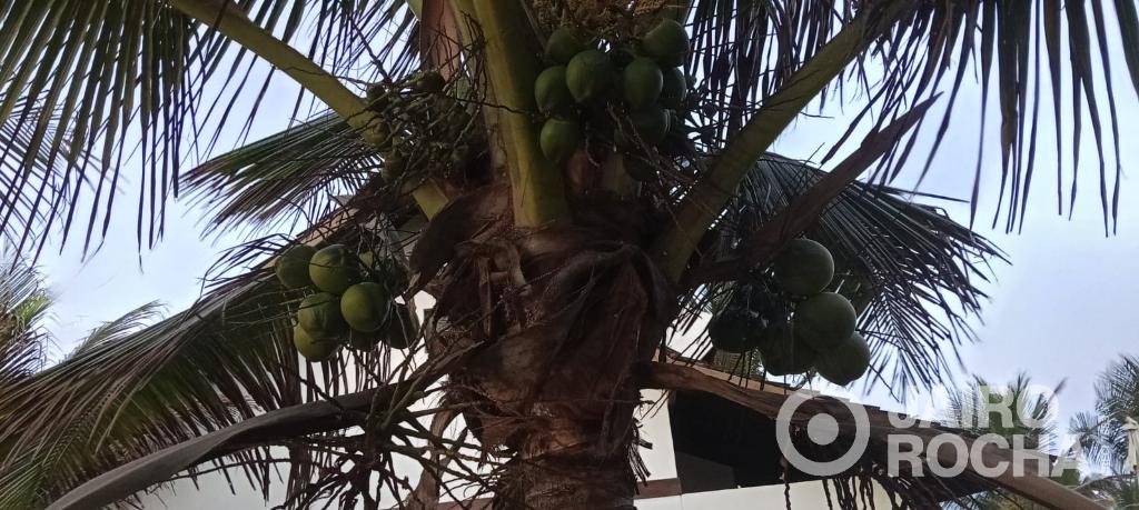 CUPE BEACH LIVING - Foto 16