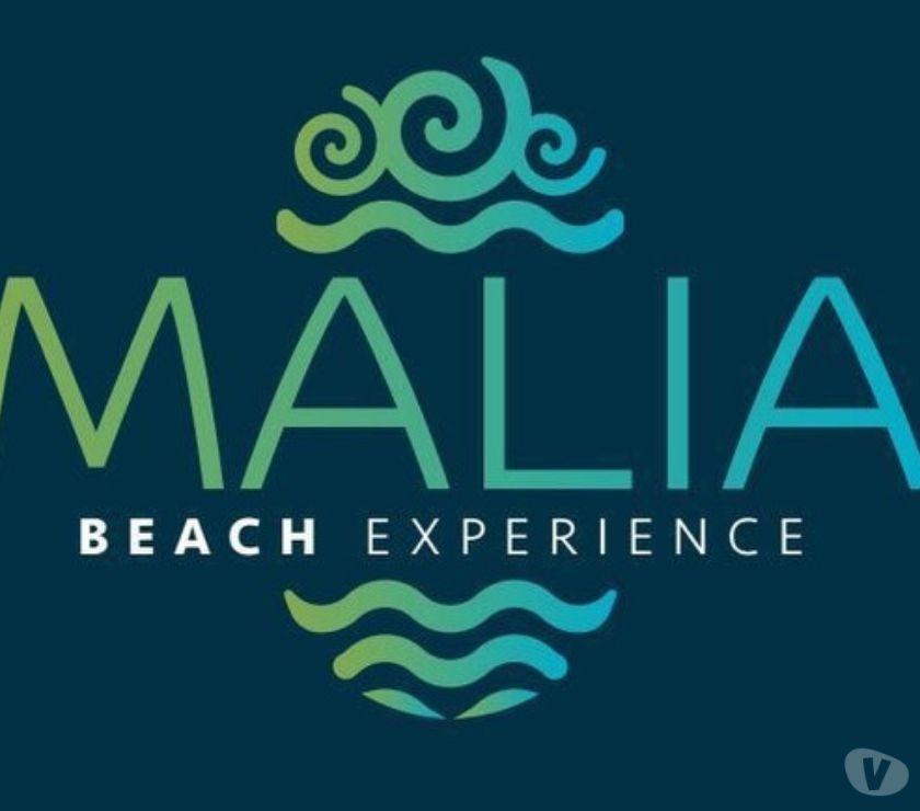 MALIA BEACH EXPERIENCE - Foto 3