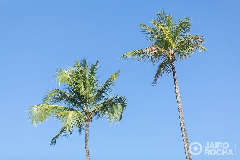 OKA BEACH RESIDENCE - Foto 56