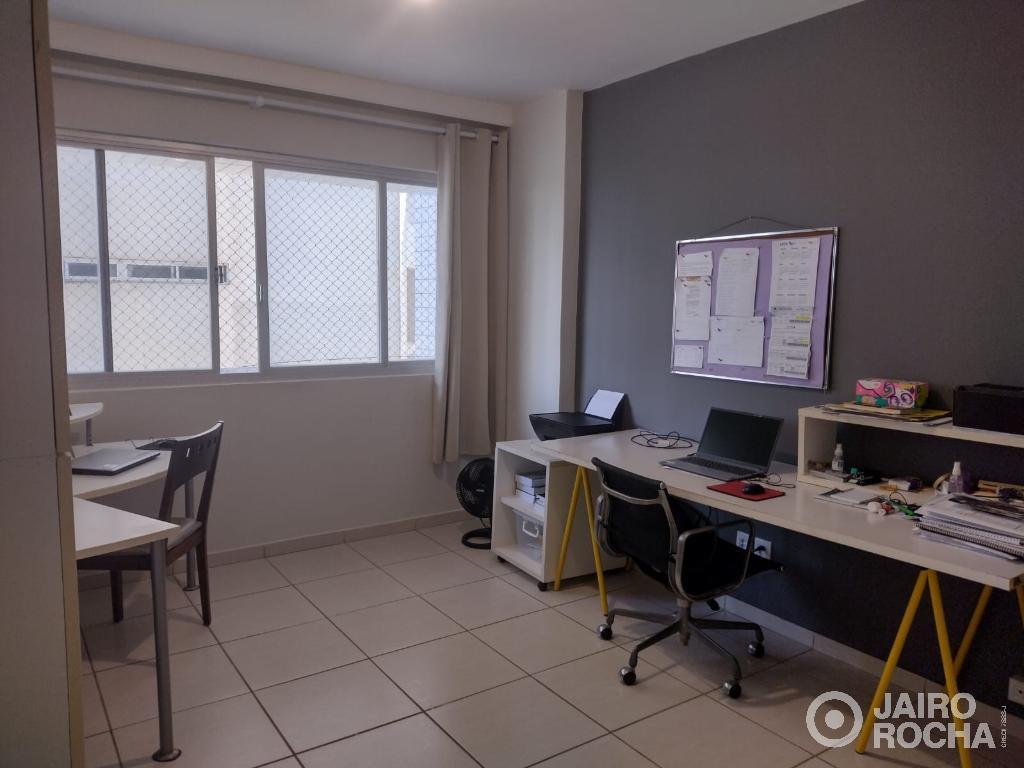 EDF. FICUS - Foto 18