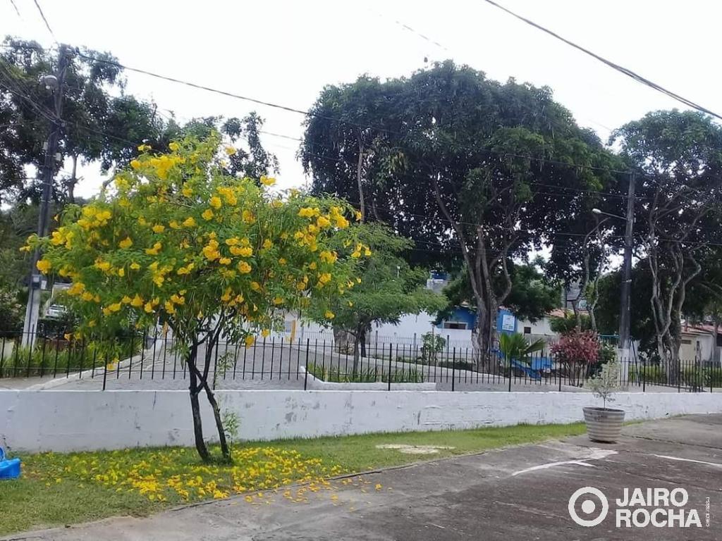 CASA EM JARDIM PRIMAVERA - Foto 8