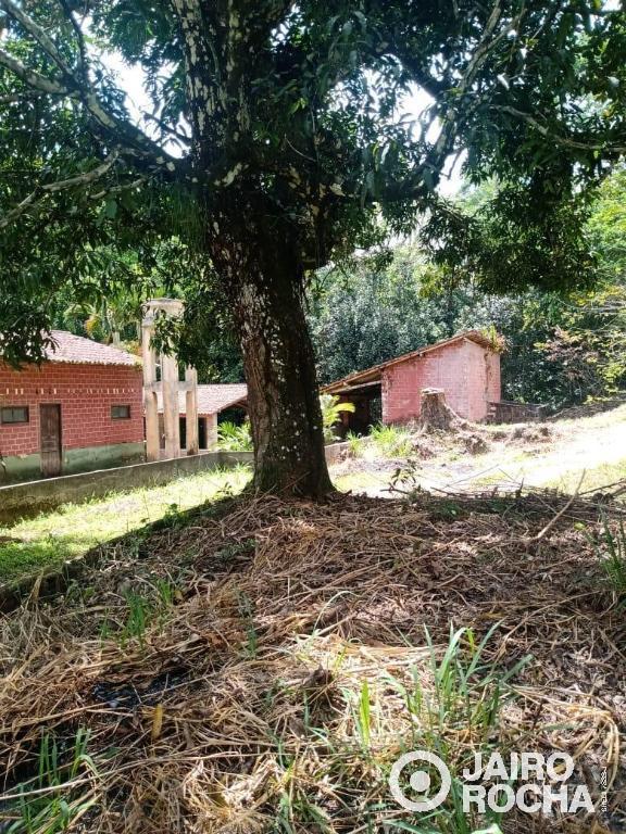 GRANJA MUCURIPE ENGENHO MANASSU - Foto 8