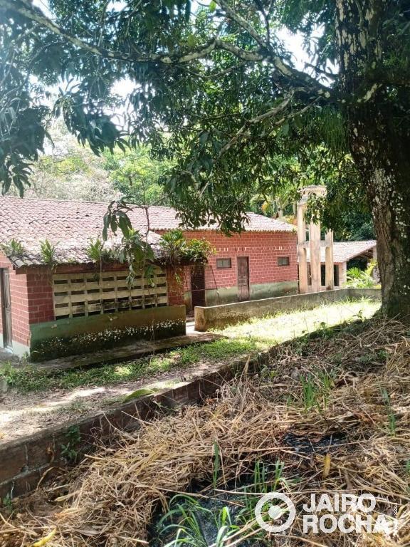 GRANJA MUCURIPE ENGENHO MANASSU - Foto 33