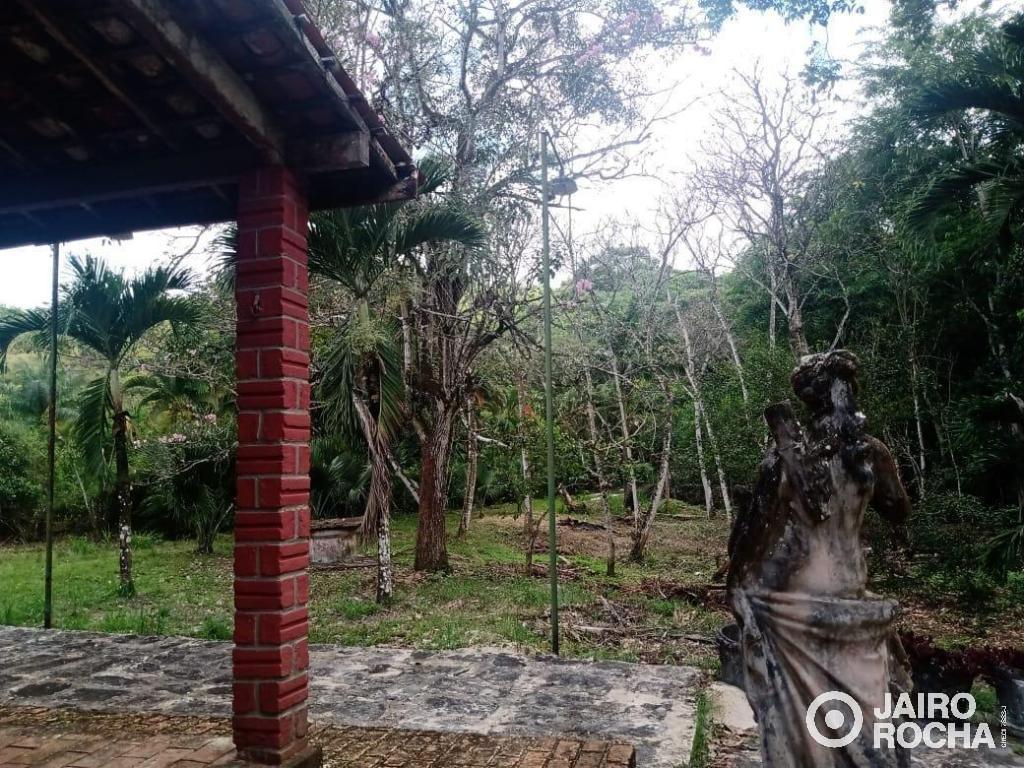 GRANJA MUCURIPE ENGENHO MANASSU - Foto 36