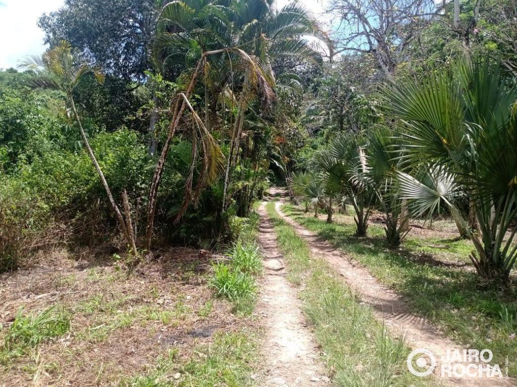 GRANJA MUCURIPE ENGENHO MANASSU - Foto 37