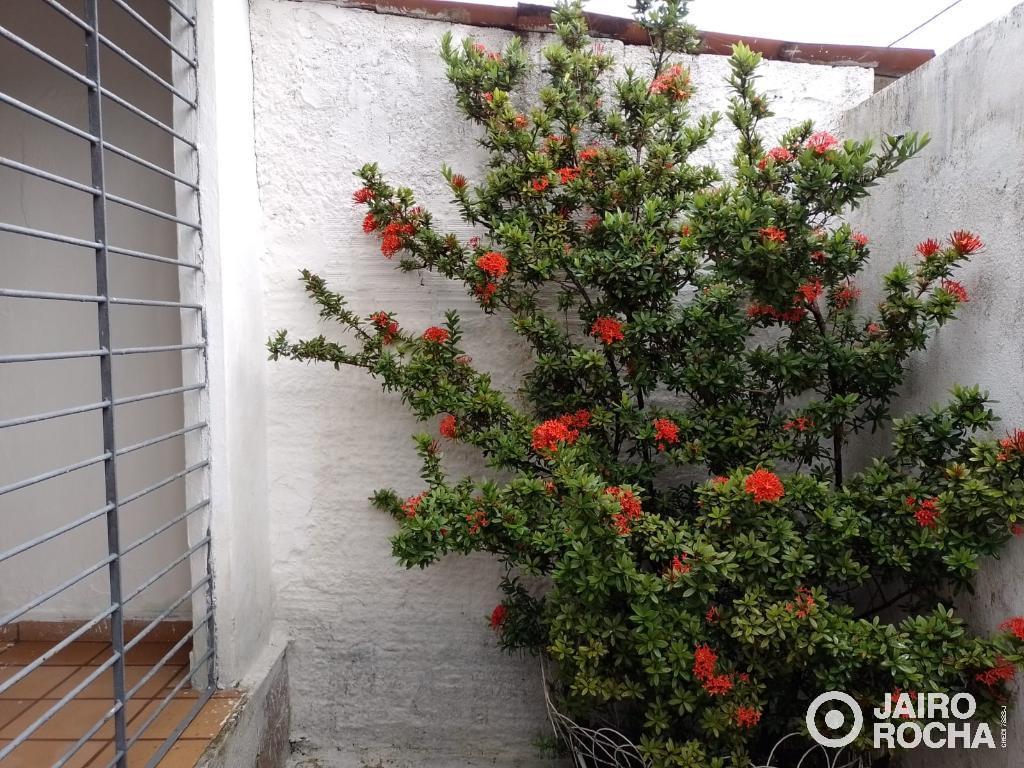 CASA RESID. RUA CAPITÃO ANTÔNIO DA ROCHA - IBURA - Foto 3