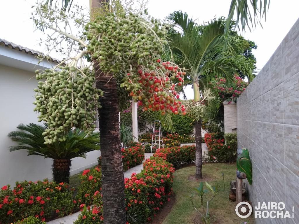 CASA RESIDENCIAL RUA SUELI LUNA MENELAU - IMBIRIBEIRA - Foto 5