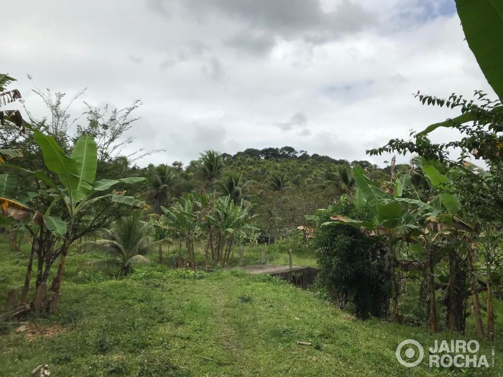 CHÁCARA/SITIO - CABO DE SANTO AGOSTINHO - Foto 32