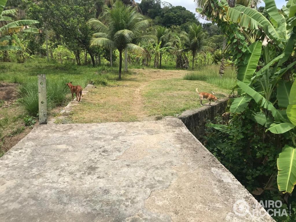 CHÁCARA/SITIO - CABO DE SANTO AGOSTINHO - Foto 51