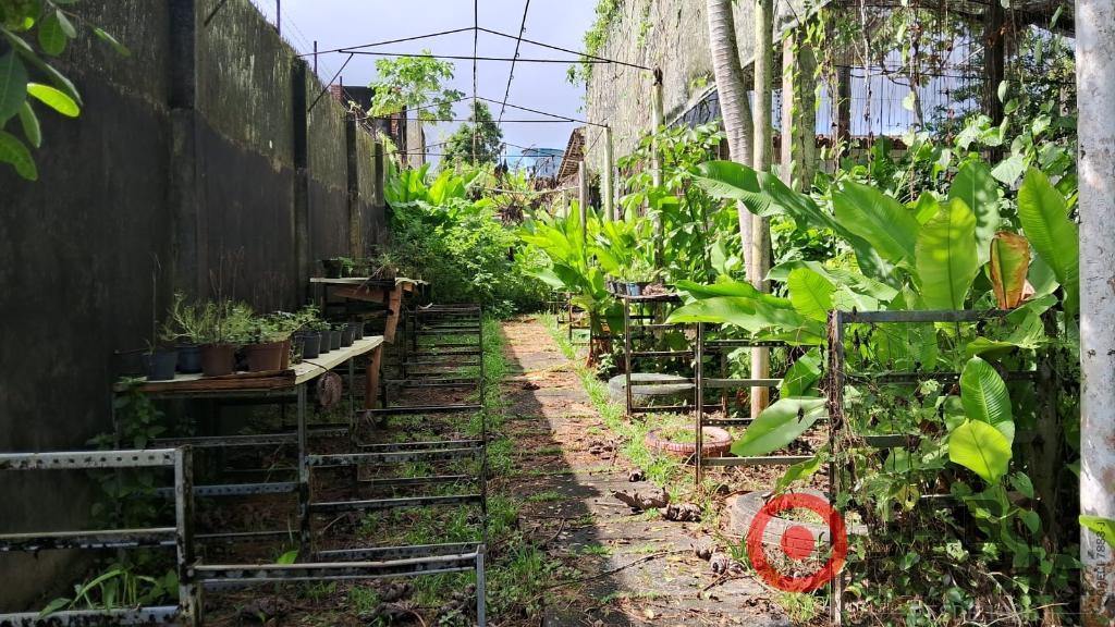 CHÁCARA PETRÓPOLIS - ROSELANDIA EM ALDEIA - Foto 12