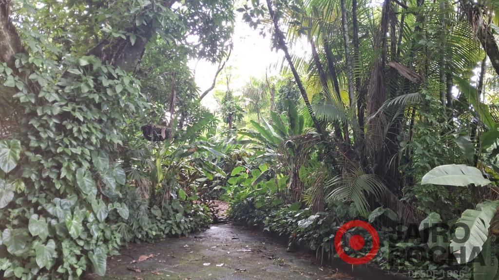 CHÁCARA PETRÓPOLIS - ROSELANDIA EM ALDEIA - Foto 15