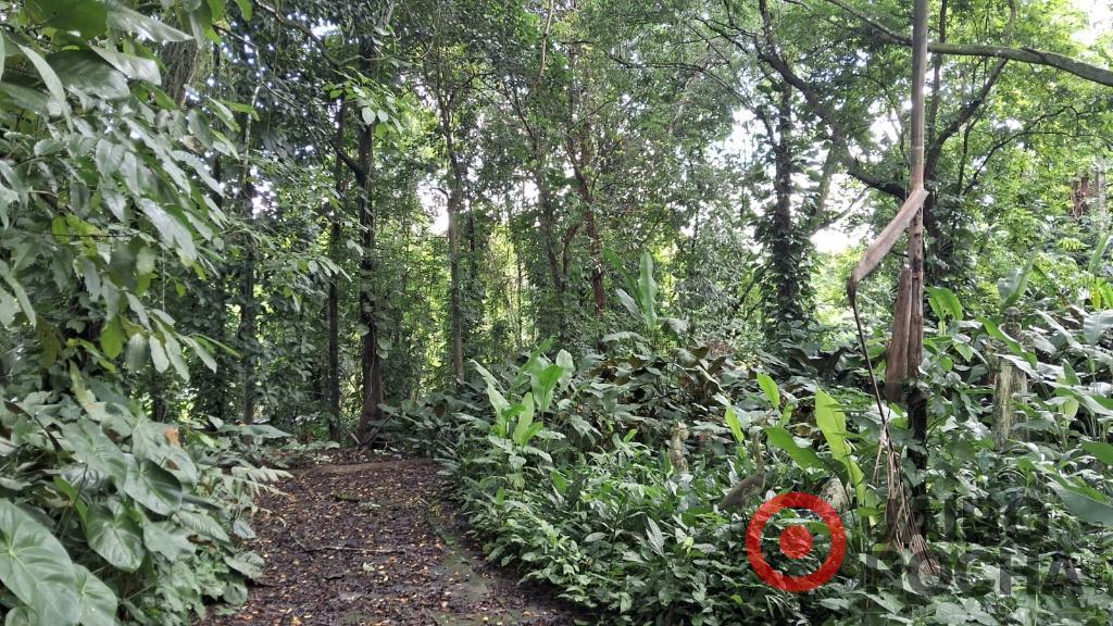 CHÁCARA PETRÓPOLIS - ROSELANDIA EM ALDEIA - Foto 17