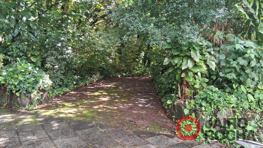 CHÁCARA PETRÓPOLIS - ROSELANDIA EM ALDEIA - Foto 18
