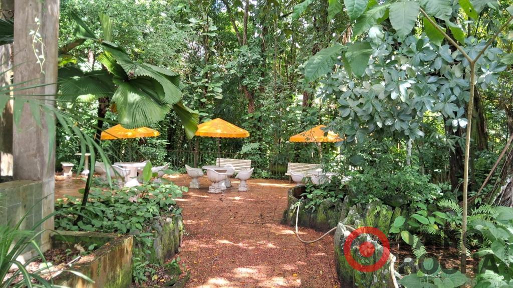CHÁCARA PETRÓPOLIS - ROSELANDIA EM ALDEIA - Foto 28