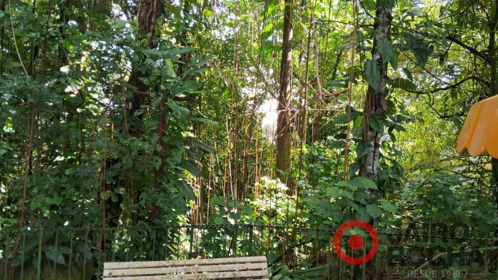 CHÁCARA PETRÓPOLIS - ROSELANDIA EM ALDEIA - Foto 29