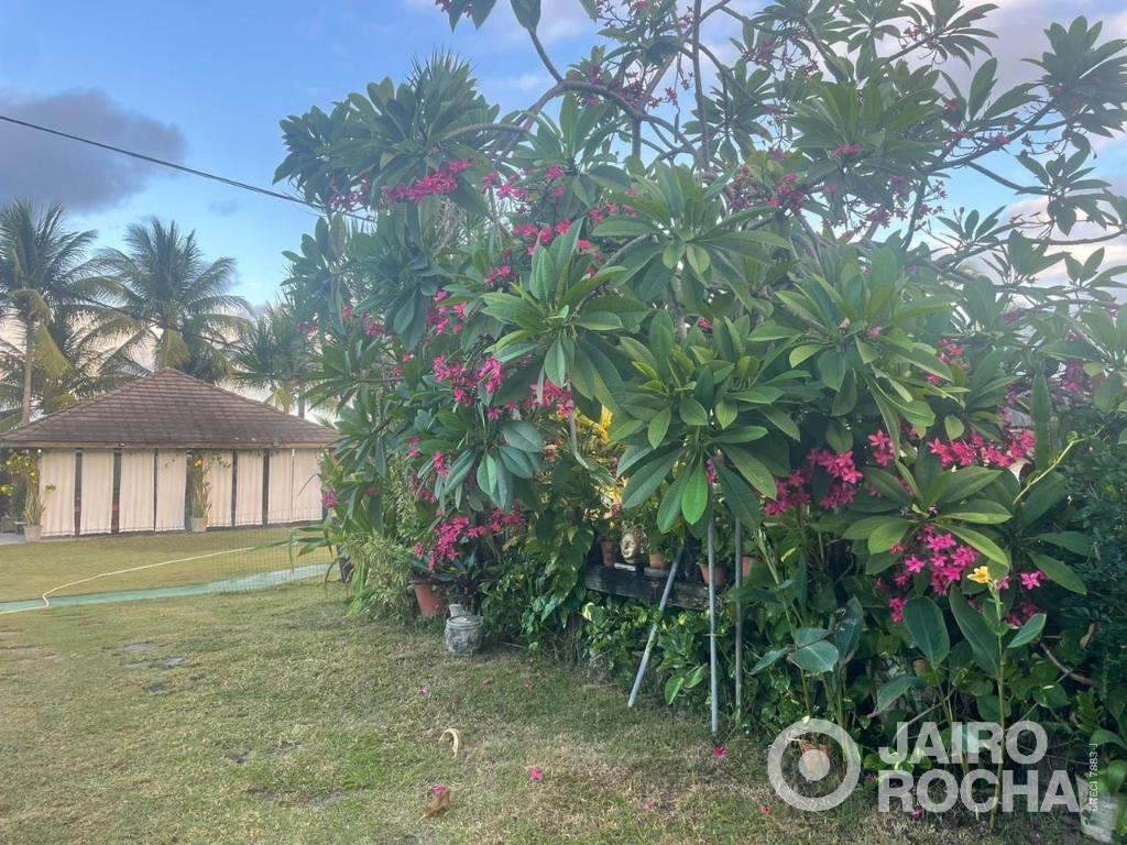 CASA RESIDENCIAL EM MARIA FARINHA Nº 10685 - Foto 3