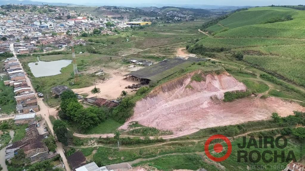 GALPÃO FAZENDA EM RIBEIRÃO - Foto 3