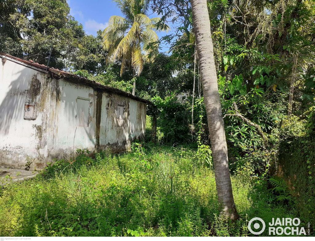 TERRENO  NA RUA RECANTO DA LAGOA N° 364 JARDIM PRAZERES - Foto 6