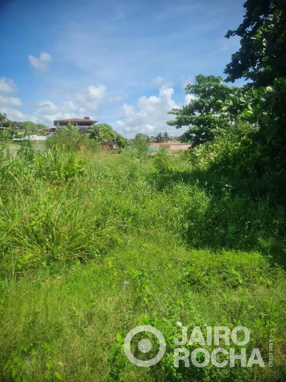 2 TERRENO  EM ENSEADA DOS CORAIS -LOTES 01 E 30 - Foto 4