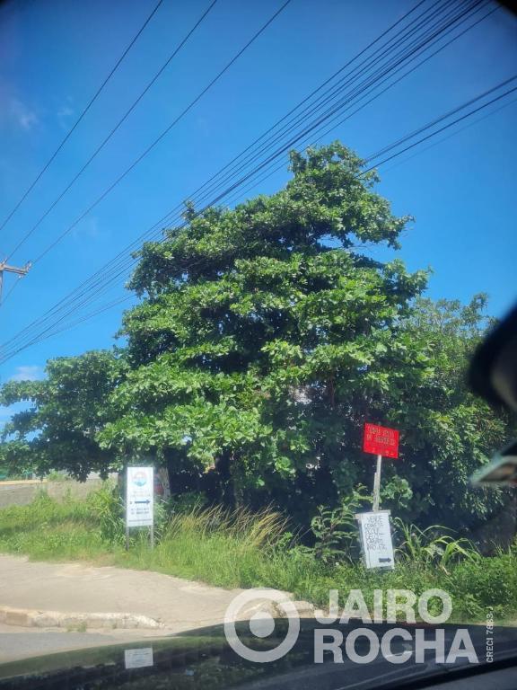 2 TERRENO  EM ENSEADA DOS CORAIS -LOTES 01 E 30 - Foto 5
