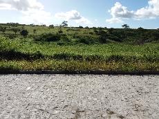lote B2