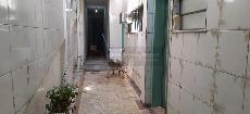 Parte de t