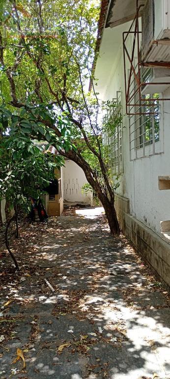 Casa à venda com 5 quartos, 2 banheiros, 2 vagas e 200m² no Prado, Recife (PE) — foto 25 de 30