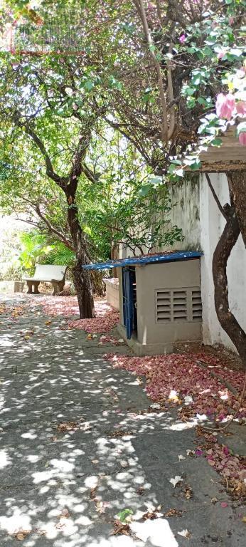 Casa à venda com 5 quartos, 2 banheiros, 2 vagas e 200m² no Prado, Recife (PE) — foto 26 de 30
