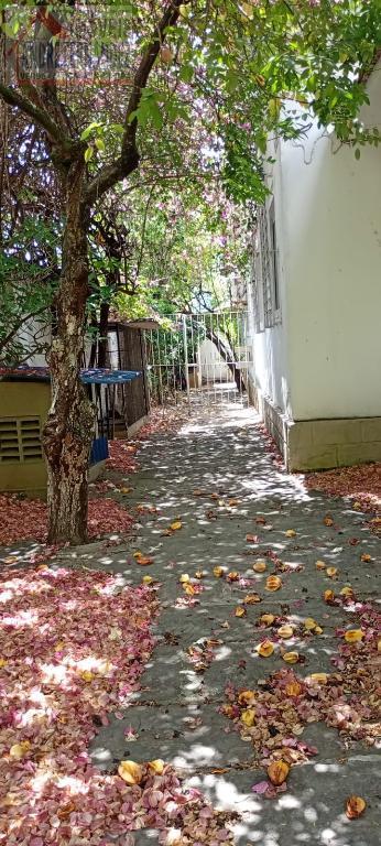 Casa à venda com 5 quartos, 2 banheiros, 2 vagas e 200m² no Prado, Recife (PE) — foto 27 de 30