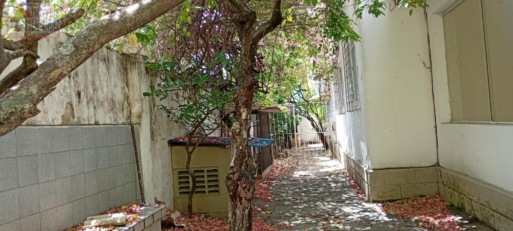 Casa à venda com 5 quartos, 2 banheiros, 2 vagas e 200m² no Prado, Recife (PE) — foto 29 de 30