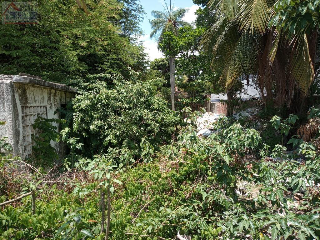 Terreno à venda com 600m² de terreno no Jardim Atlântico, Olinda (PE) — foto 8 de 8